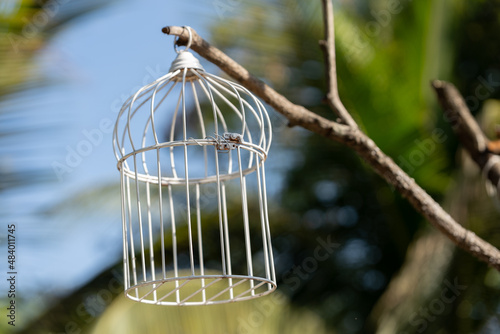Empty bird cage © Aniket