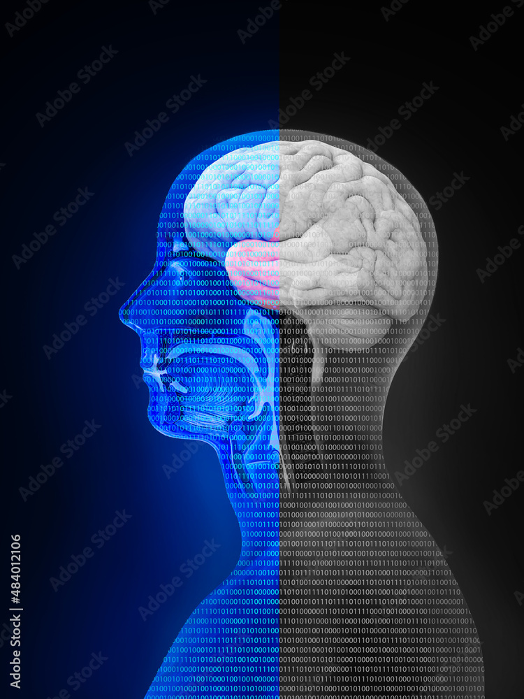 Obraz premium Head. Psychology, bipolar disorder, emotion, duality, ambivalence and personality concept. Flat design. illustration, no transparency, 3d rendering