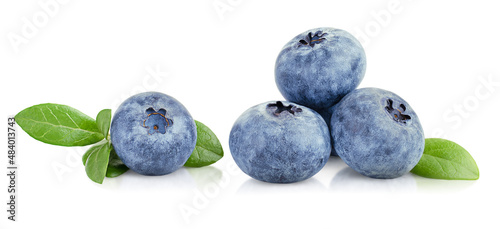 fresh blueberries on a white isolated background