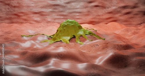 Macrophage, the effector of the non specific immune response in 3D illustration photo