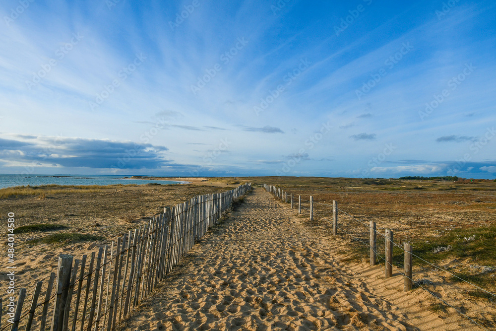 Chemin de sable sillonnant sur une dune protégée par de clôtures pour préservée la végétation qui stabilise la dune. 