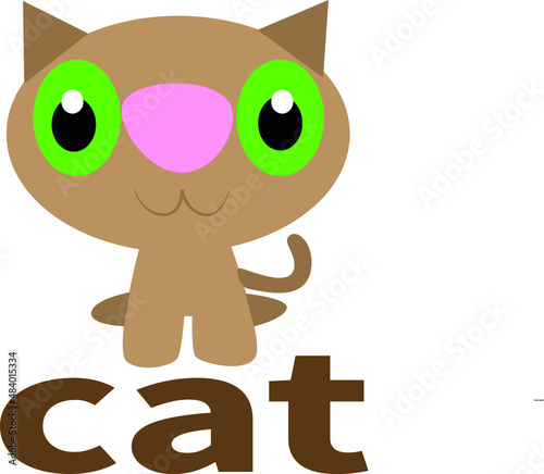 gato cafe, cat, gatitos, gato, cute © laura
