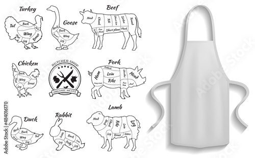 Protective garment for cooking near meat cutting scheme icons. Clothes for work in kitchen, element of clothing for cooking. Chef clothing next to animal meat. Apron for cooking dish in kitchen