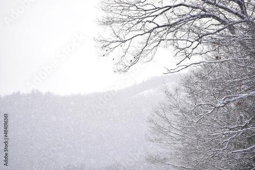 Canvas Print Blizzard