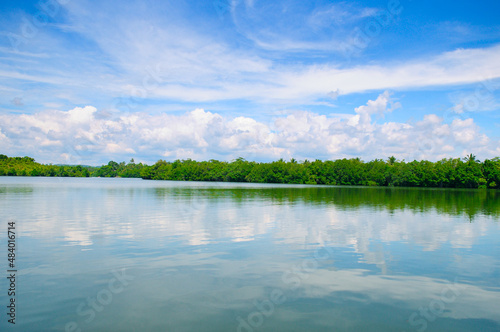 Mangrove forests on the shore of the lake and the sky with beautiful clouds.