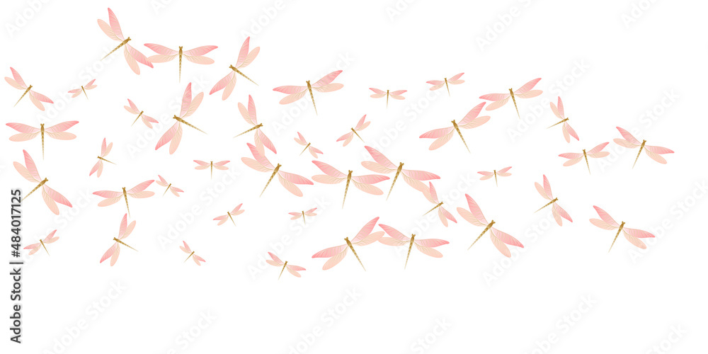 Fairy rosy pink dragonfly cartoon vector background. Summer beautiful damselflies. Detailed dragonfly cartoon fantasy illustration. Delicate wings insects patten. Garden beings