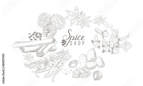 A set of spices - cinnamon, star anise, cloves, nutmeg, vanilla and almond. Spice shop in vintage engraving style © Gala