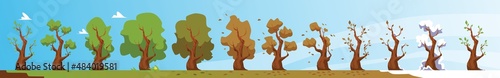 Process of seasons change - tree in spring, summer, autumn and winter, flat vector illustration.