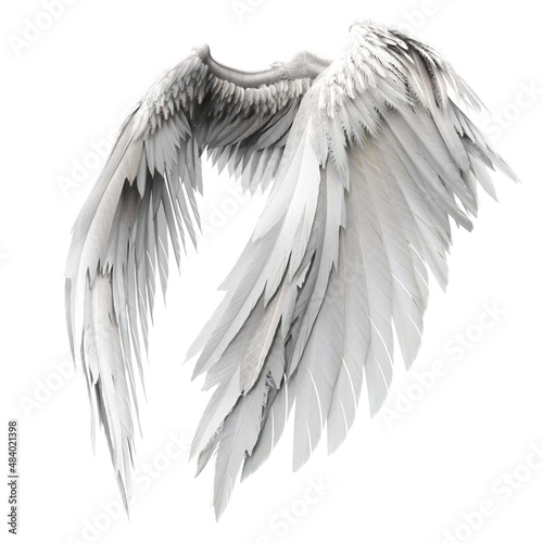 Canvas Print Pair of isolated white angel style wings with 3D feathers on white background, 3