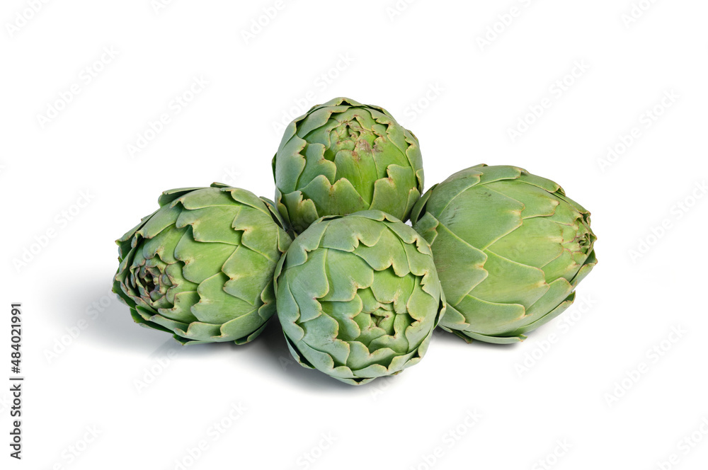 Fresh artichokes isolated from the background Fresh artichokes isolated from the background