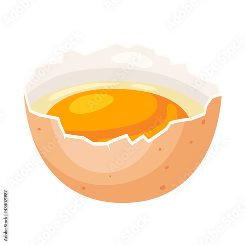 Illustration of broken chicken eggshell and liquid egg. Image for food and agricultural industries.