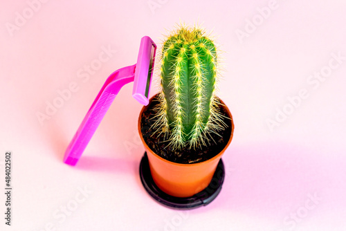 Green prickly cactus with pink disposable woman razor on light pastel background. Hair removing, epilation procedure and shaving concept. photo