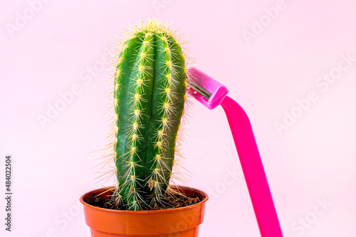 Green prickly cactus with pink disposable woman razor on light pastel background. Hair removing, epilation procedure and shaving concept. photo