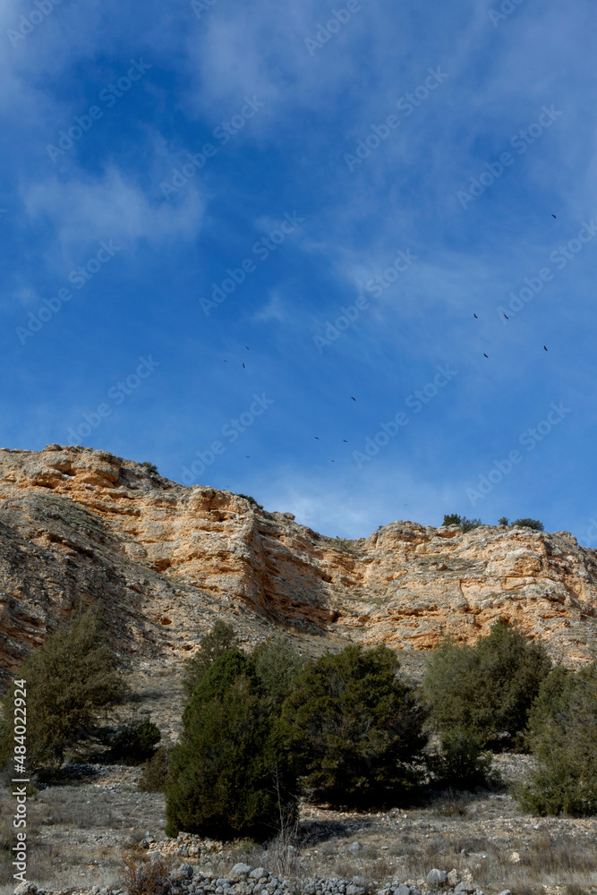 The natural park of Hoces del Río Riaza is located in the northeast of the province of Segovia. Spain's griffon vulture reserve and Natura 2000 network.