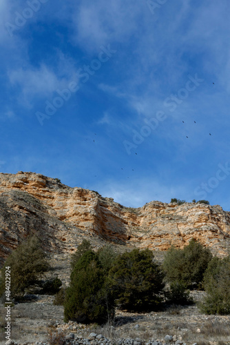 The natural park of Hoces del Río Riaza is located in the northeast of the province of Segovia. Spain's griffon vulture reserve and Natura 2000 network.