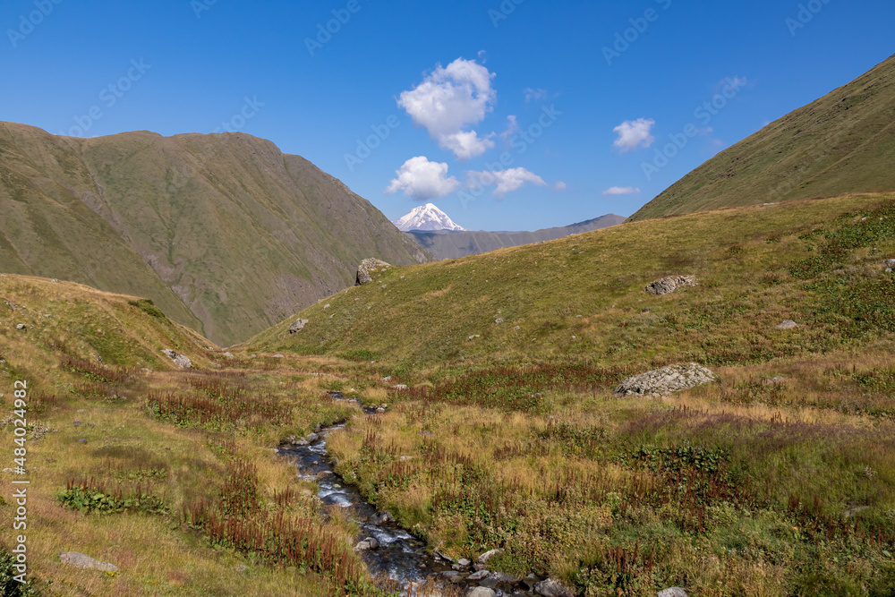 A river embedded in an alpine meadow with a distant panoramic view on the sharp mountain peaks of the Ushba massif in the Greater Caucasus Mountain Range in Georgia,Kazbegi Region.Mountain Ridges.