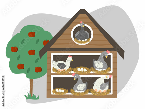 Chicken coop vector illustration. Hens incubate eggs in nests in henhouse. Farming and rearing poultry