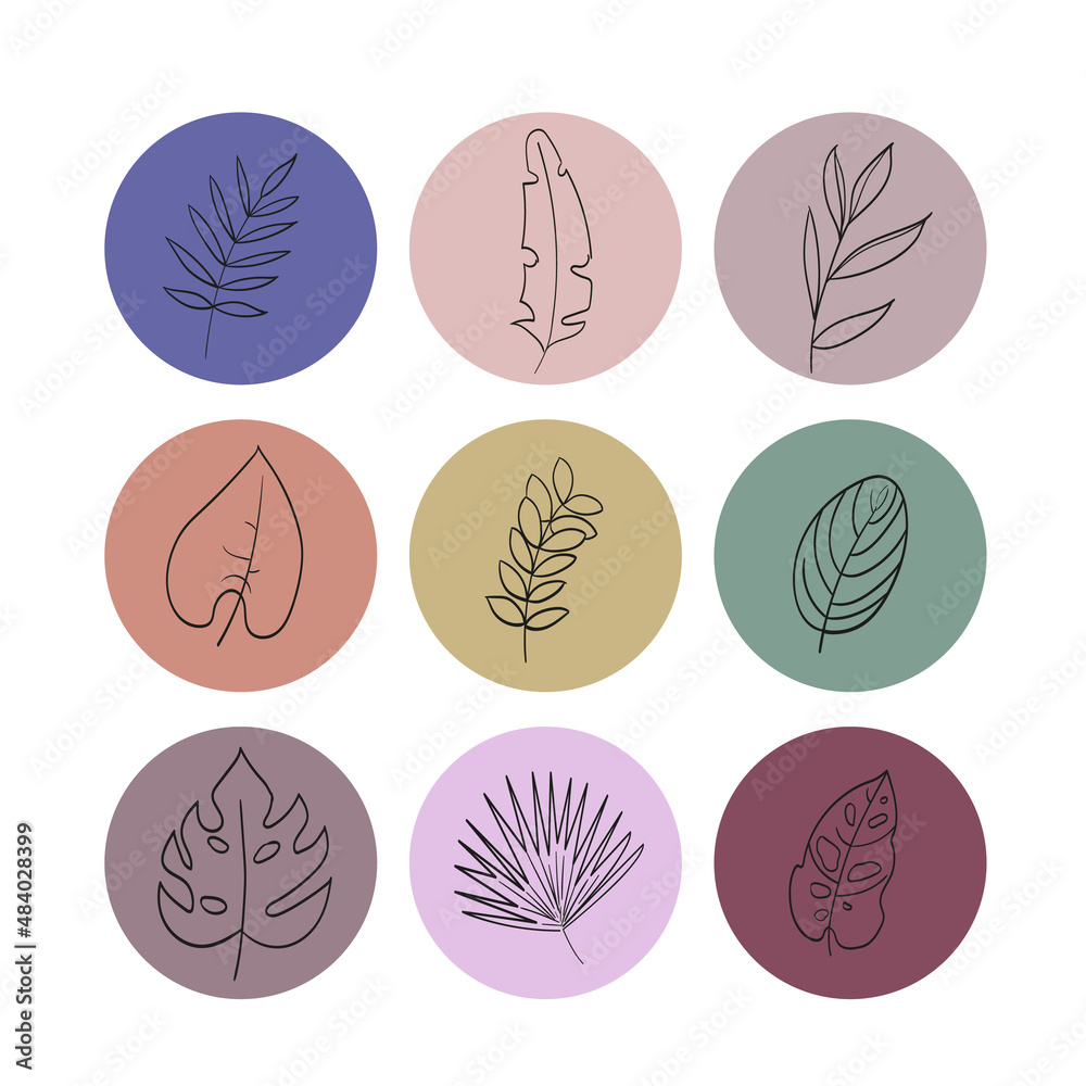 Leaves of tropical plants in a hand-drawn style. Set of icons for highlights, templates for blog and social media
