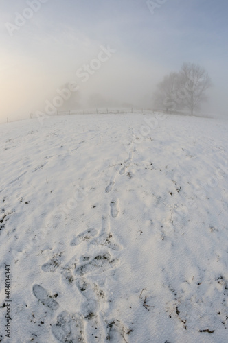 Winter landscape. Rising sun obscured by mist. Footprints of shoes in the snow