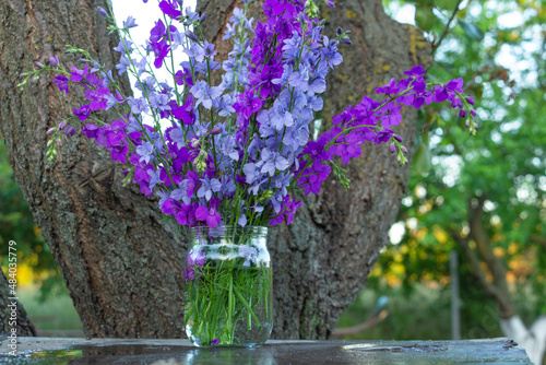 Beautiful bouquet of home flowers - blue and purple delphinium in a jar of water