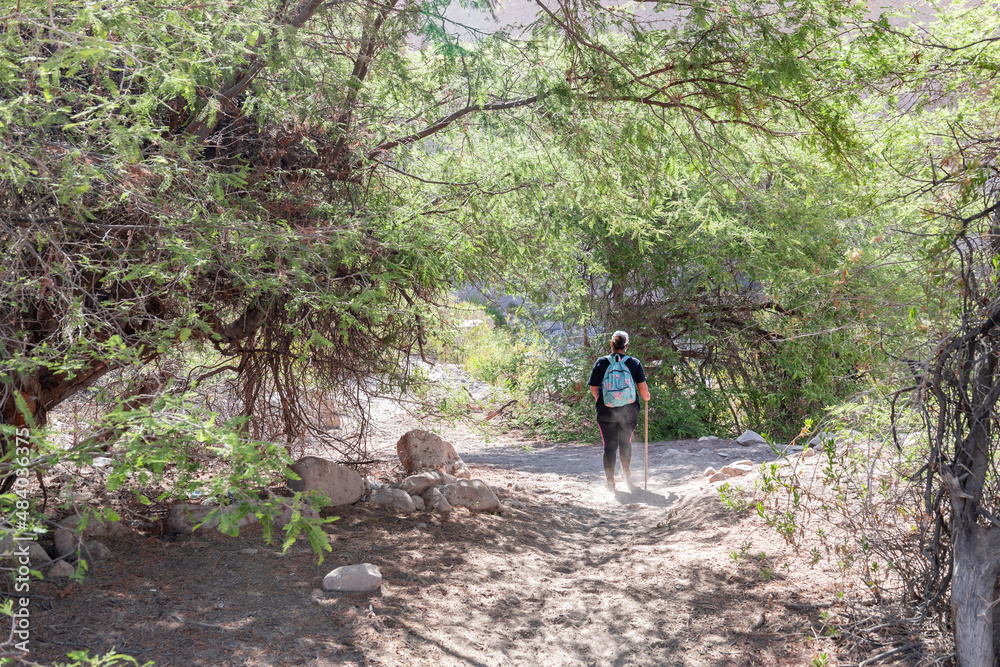 Obraz premium Woman walking on a path under trees