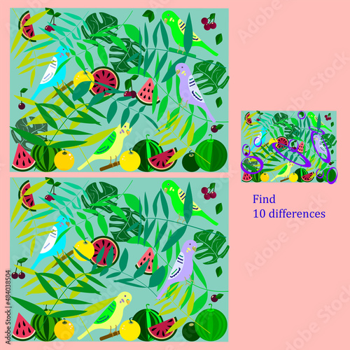 find 10 differences rebus for children under 6 years old, presented by seasons of the year