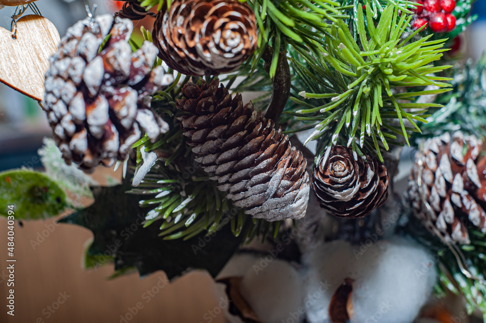 Obraz premium Pine cone close-up. Macro shooting. The cone is in the woods.
