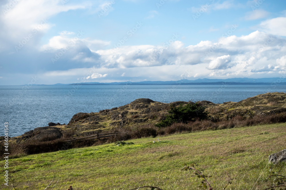 Gorgeous view of the grassy coastline on San Juan Island on a bright, sunny day with puffy white clouds