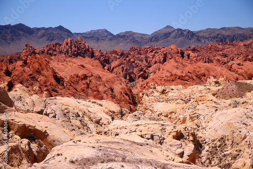 The landscape of various red and pink rocks with the mountains on the back © willeye