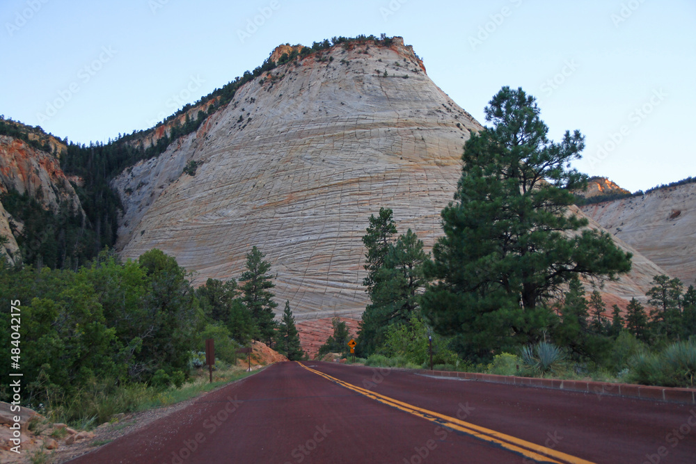 The red paved road towards the white Checkerboard Mesa during a summer sunset in Zion National Park