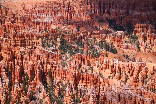 The red hoodoos and the green bushes of Bryce Canyon National Park