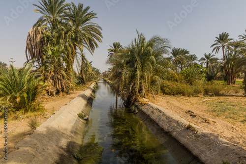 Irrigation canal by the river Nile, Egypt