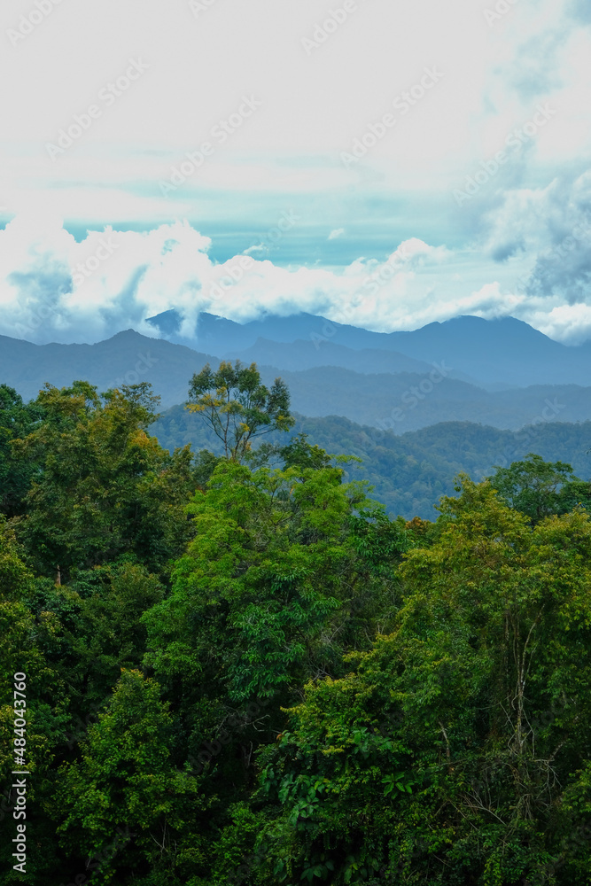 Beautiful tropical mountain view which is located in Fraser's Hill, Pahang, Malaysia