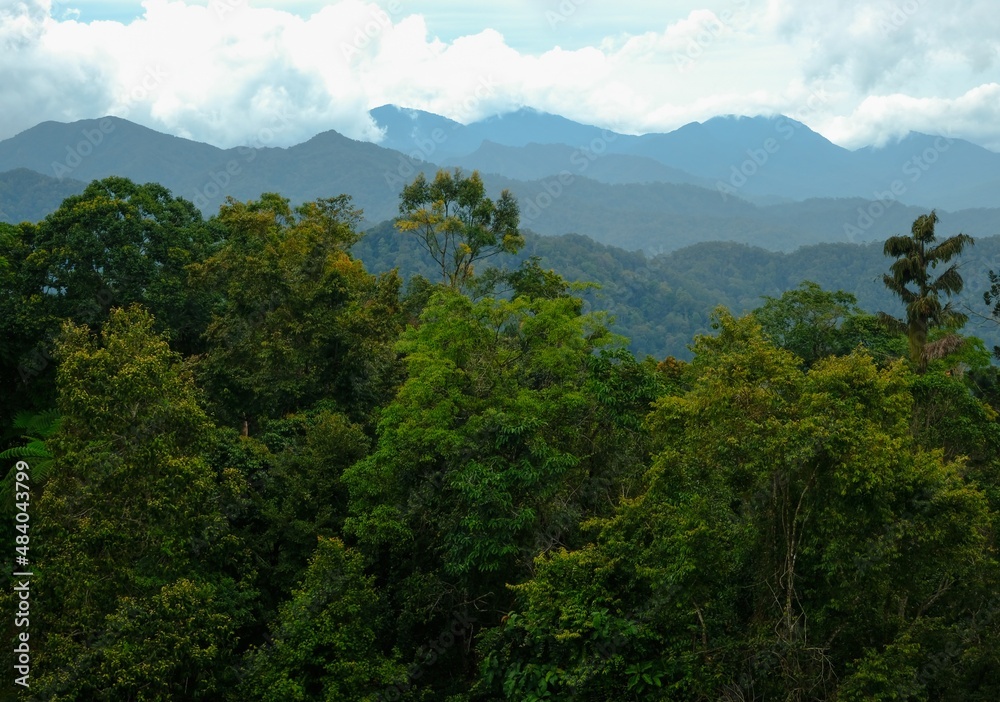 Beautiful tropical mountain view which is located in Fraser's Hill, Pahang, Malaysia Beautiful tropical mountain view which is located in Fraser's Hill, Pahang, Malaysia