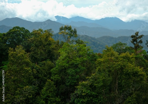 Beautiful tropical mountain view which is located in Fraser s Hill  Pahang  Malaysia