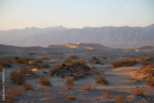 Fototapeta Naklejka Na Ścianę i Meble -  Mesquite Flat Dunes with the mountains on the back in the Death Valley desert