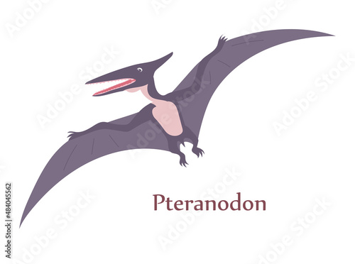 Ancient flying lizard pteranodon. Predatory dinosaur of the Jurassic period. Big wings. Vector isolated illustration