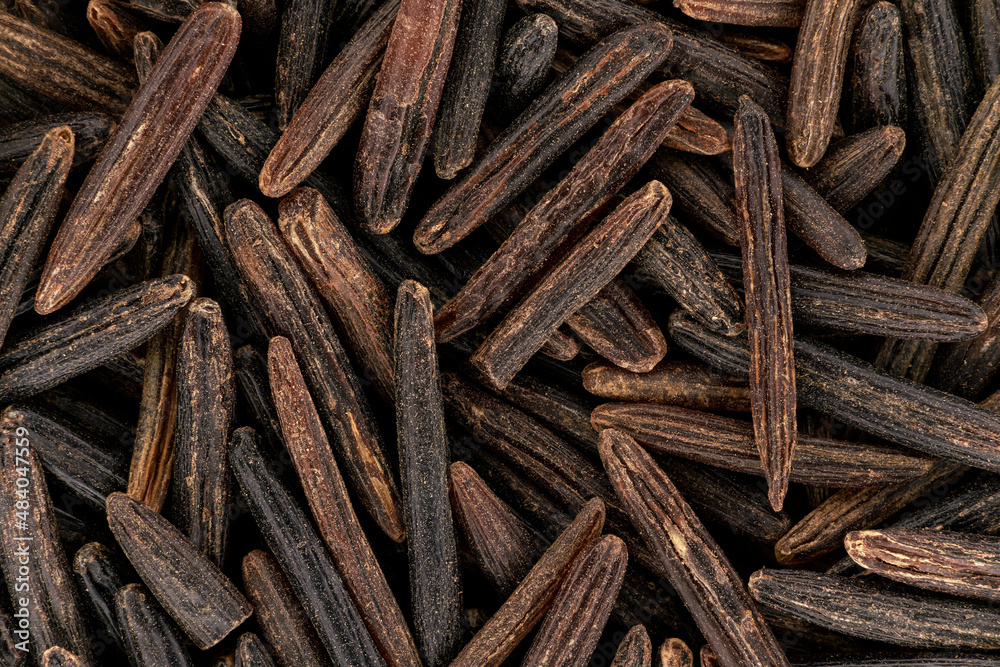 Brown wholegrain rice under microscope, image width 23mm Brown wholegrain rice under microscope, image width 23mm