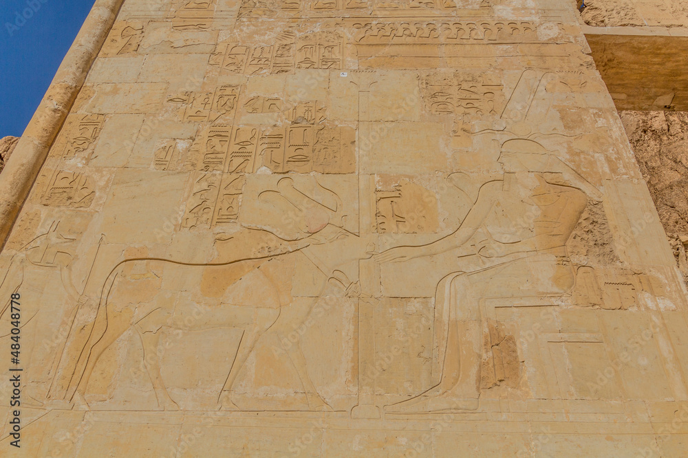 Obraz premium Wall decorations of the Temple of Hatshepsut at the Luxor's West bank, Egypt