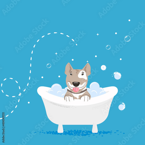 Vector character of a dog on a blue background with soap bubbles in the bathroom for a beauty salon or postcard 