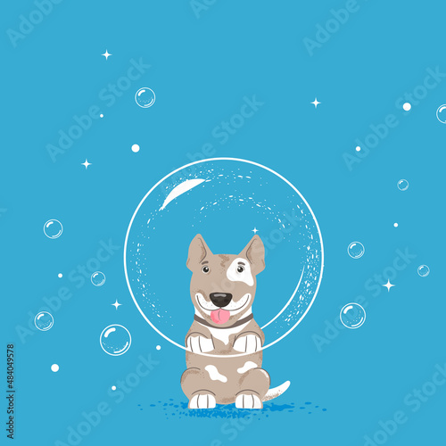Vector character of a dog on a blue background with soap bubbles for a grooming salon or postcard 