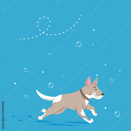 Vector character of a dog on a blue background with soap bubbles for a grooming salon or postcard 