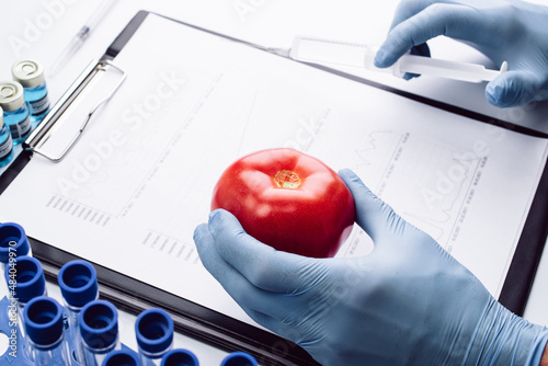 Genetically modified organism. GMO scientist injecting liquid from syringe into red tomato. Gmo food biotechnology concept.