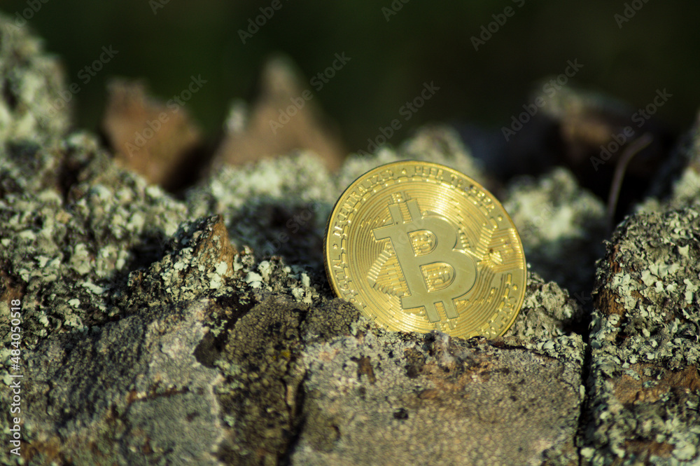 moneda bitcoin dorada sobre lecho de rocas moneda bitcoin dorada sobre lecho de rocas