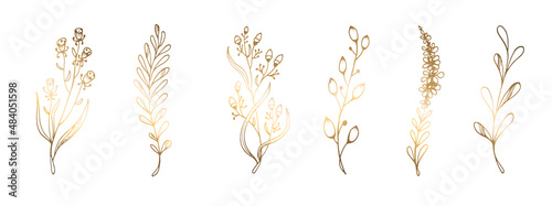 Golden leaves on a white background. Line art. Branches, handmade grass. Vector illustration. For greeting cards and invitations for wedding, birthday, Valentine s Day, Mother s Day and others.
