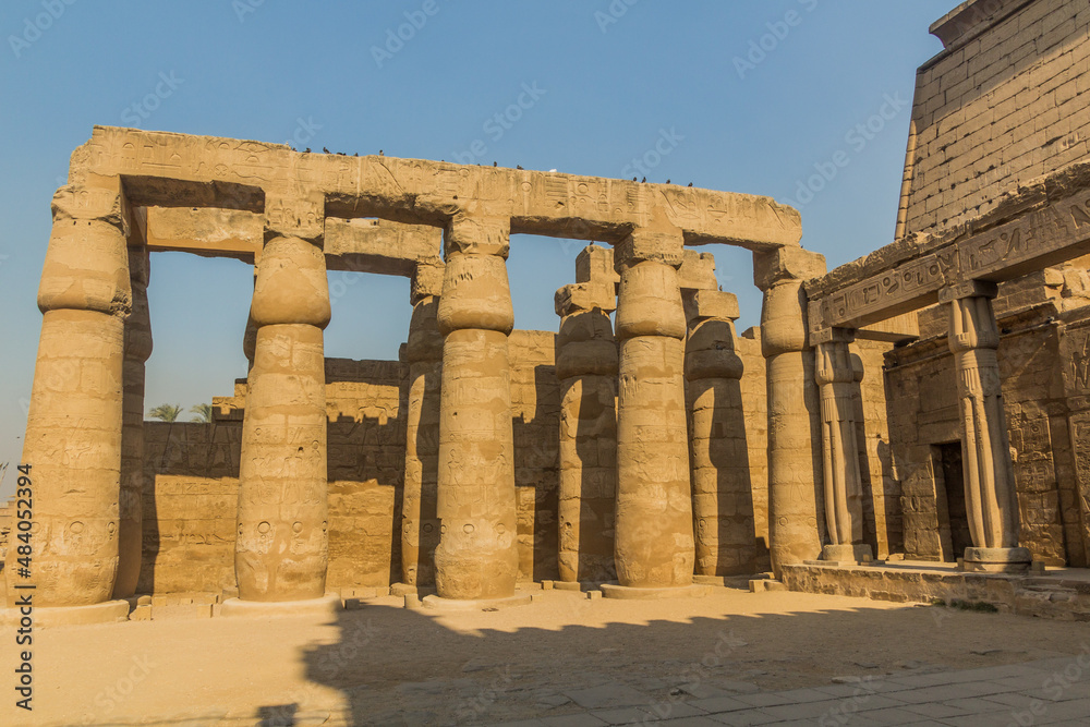 Obraz premium Columns at the Luxor temple, Egypt