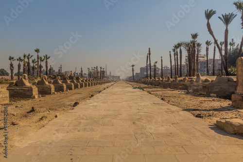 Canvas Print Avenue of Sphinxes in Luxor, Egypt