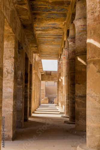 Columns of the Festival Hall of Thutmose III in the Karnak Temple Complex  Egypt