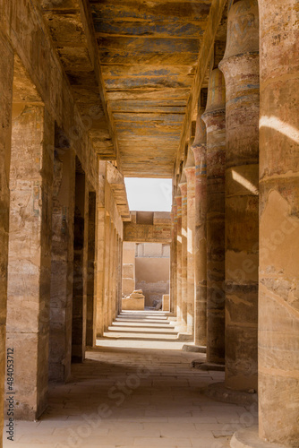 Columns of the Festival Hall of Thutmose III in the Karnak Temple Complex, Egypt