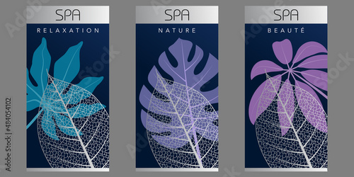 Série de 3 flyers pour un établissement de spa avec un graphisme végétal bleu et mauve.